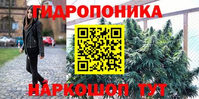 спайс Канаш
