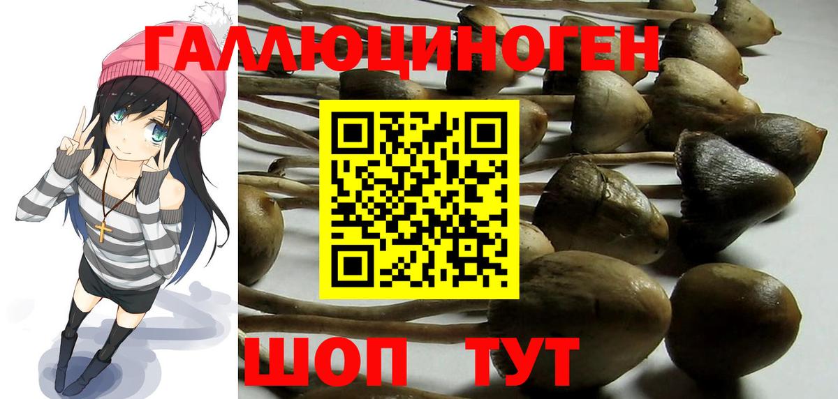 Псилоцибиновые грибы ЛСД  Вход с VPN  Псилоцибиновые грибы мухоморы  Кызыл 