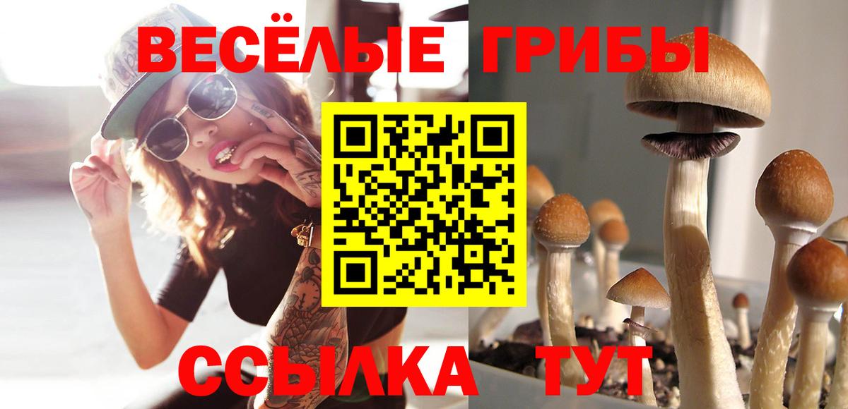 Псилоцибиновые грибы мицелий Кызыл
